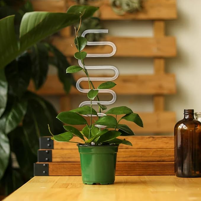2 Pack Curvy Acrylic Trellis for Indoor Plants, Small Plant Trellis for Potted Plants, 13 Inch Plant Stakes for Indoor Plants, Clear Trellis for Climbing Plants Vine Ivy Hoya