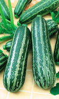 RAISE ME UP: Seeds Cocozelle Zucchini Courgette Non GMO Heirloom