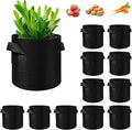 12 Pack 20 Gallon Plant Grow Bags, Thickened Nonwoven Fabric Pots with Handles, Vegetable Planter Bags Containers, Cloth Planters for Garden Vegetable/Flower/Plant/Fruits Outdoor (Black)