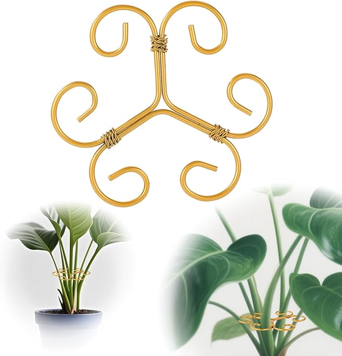3 Pcs Monstera Plant Grapple Support, Heart Shaped Plant Support Stakes Stem Durable Stabilizer Grapple Holder for Outdoor and Indoor Planting Flowers Thriving Growth