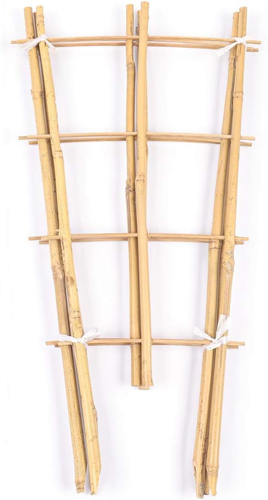 Trellis for Climbing Plants Indoor Outdoor, Natural Bamboo Trellis 24 Inch, 3 Pack Garden Trellis for Potted Plants, Ivy, Monstera, Houseplants