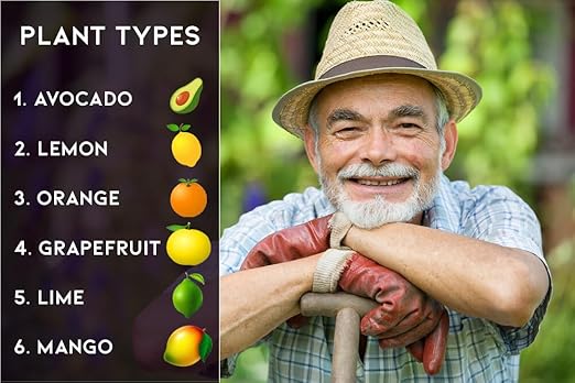 𝐁𝐄𝐒𝐓𝐒𝐄𝐋𝐋𝐄𝐑 6-4-6 Avocado Citrus Tree Plant Food for Outdoor/Indoor Gardening | Quick-Release Nitrogen Fertilizer | Orange, Lime, Avocado and Lemon Tree Fertilizer (3 Quarts)
