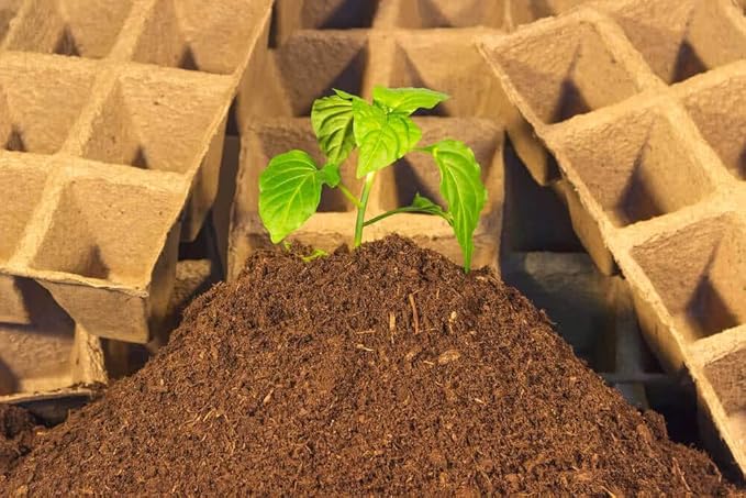 Natural Sphagnum Peat Moss Organic Soil Conditioner, Potting Soil, Soil Amendment & Media - Nutrient Enriching Gardening Soil Perfect for Indoor, Outdoor & Carnivorous Plants 1QT Bag Size