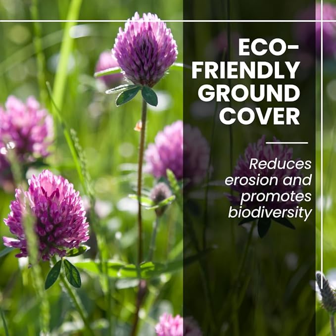 Red Clover Seed - 5 Pounds - Perennial Forage Clover for Food Plots, Cover Crops, Pasture Mixes, Soil Improvement, Erosion Control, and Pollinator-Friendly Planting