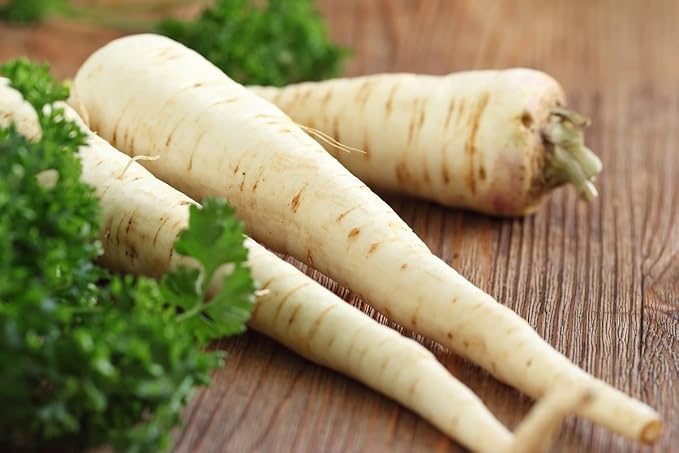 KIRA SEEDS - Seeds Parsley Hercules Universal - Dual-Purpose Herb for Leaf and Root - 2000 Seeds - Heirloom Herb - GMO Free