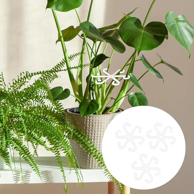 10pcs Acrylic Plant Climbers Stem Sticks Holders, Reusable Plant Growth Accessories Stakes for Growing Plants, Plant Support Structures