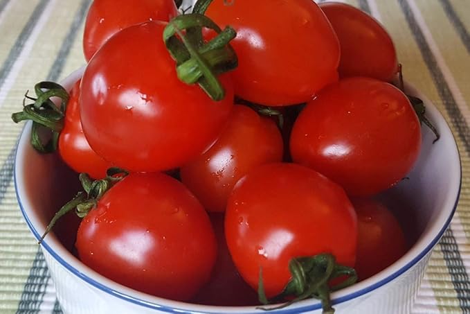 Seeds Vegetable Cherry Tomato Red - 25 Seeds