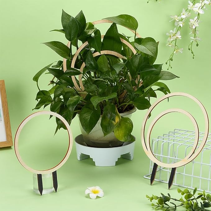 FINGERINSPIRE 3 PCS Circle Indoor Plant Trellises 3 Sizes Floral White Wooden Houseplant Trellis for Indoor Climbing Plants Round Garden Trellis Plant Support for Ivy Flowers Outdoor Potted Plants