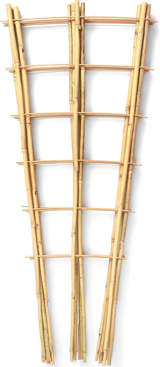 SWANGSA 5 Pack 3Ft Bamboo Trellis for Climbing Plants Support, Fan-Shaped Ladder Trellis for Outdoor and Indoor Potted Plants Cucumber Garden Stakes