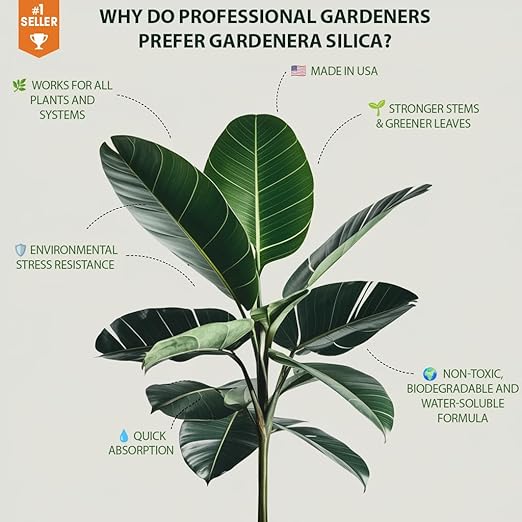 𝐏𝐑𝐎𝐅𝐄𝐒𝐒𝐈𝐎𝐍𝐀𝐋 Liquid Silica Plant Supplement - 32oz - CARROTS Plants Liquid Silica Boost Fertilizer - Stronger Stems & Healthy Leaves for Indoor & Outdoor Carrots Plants (Makes 180 Gallons)