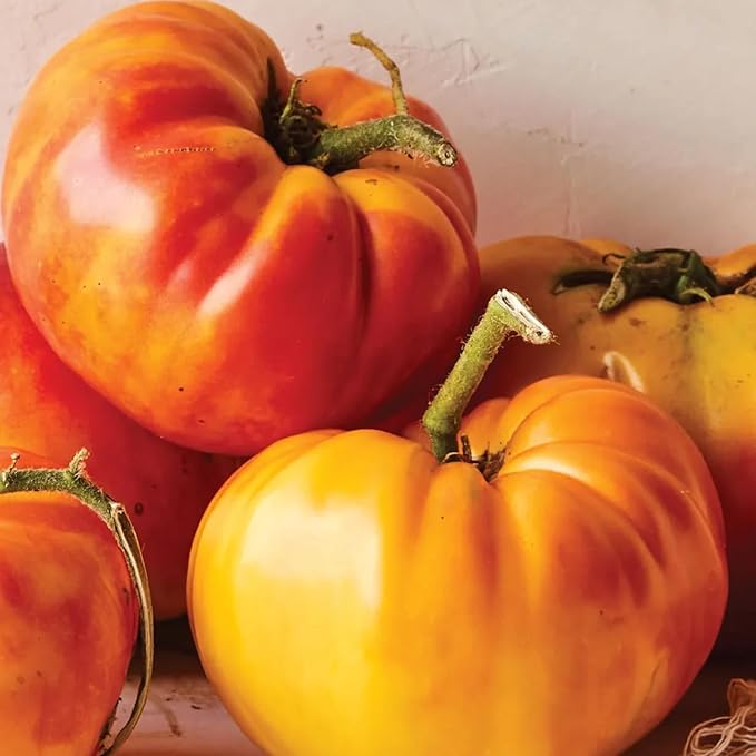 30 Rainbow Beefsteak Tomato Seeds for Planting, Tomato Vegetable Seeds to Grow Indoor Outdoor