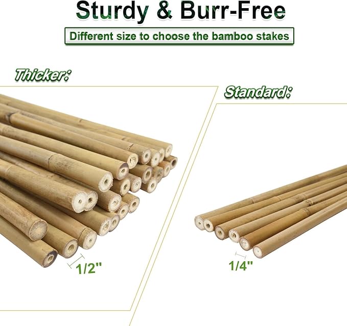 30pcs 3/10" D Thicker Heavy Duty Bamboo Stakes, 2FT Plant Stakes, Natural Garden Stakes for Tomato, Bean, Flowers,Trees Potted and Climbing Plant Support