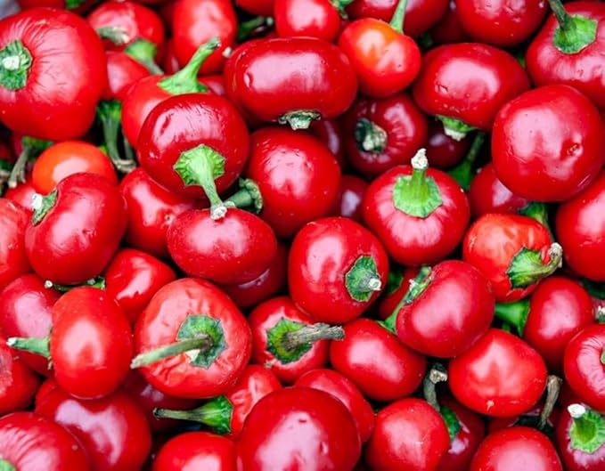 50PCS Large Red Cherry Pepper Seeds Hot Chili Pepper Heirloom Vegetable Seeds Home Garden Outdoor