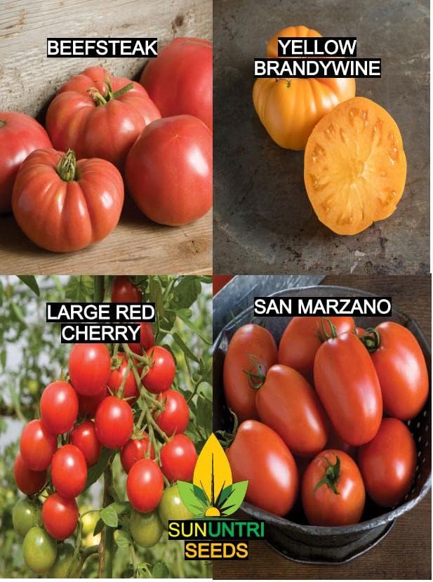 Tomato Seeds Collection – Heirloom Tomato Varieties for Planting: Beefsteak, Large Red Cherry, San Marzano, Yellow Brandywine – Vegetable Garden Seeds