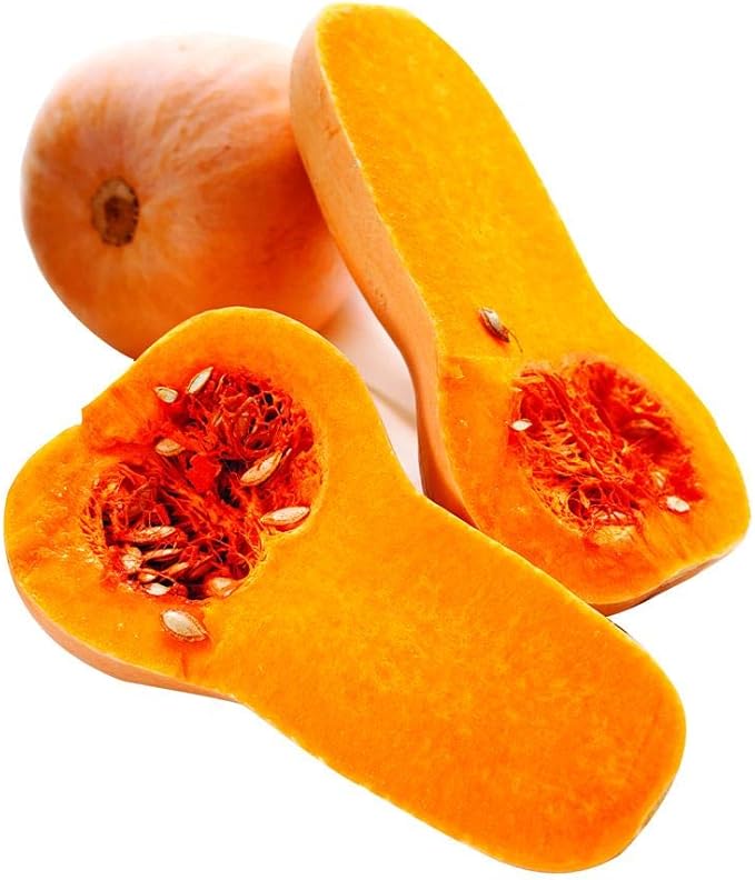 Park Seed Early Butternut Hybrid Winter Squash Seeds – Compact Vine Growth, Sweet Nutty Flavor, Fine-Textured Tan Flesh, AAS Winner 1979, Space-Saving and Long-Storing Variety, Pack of 20