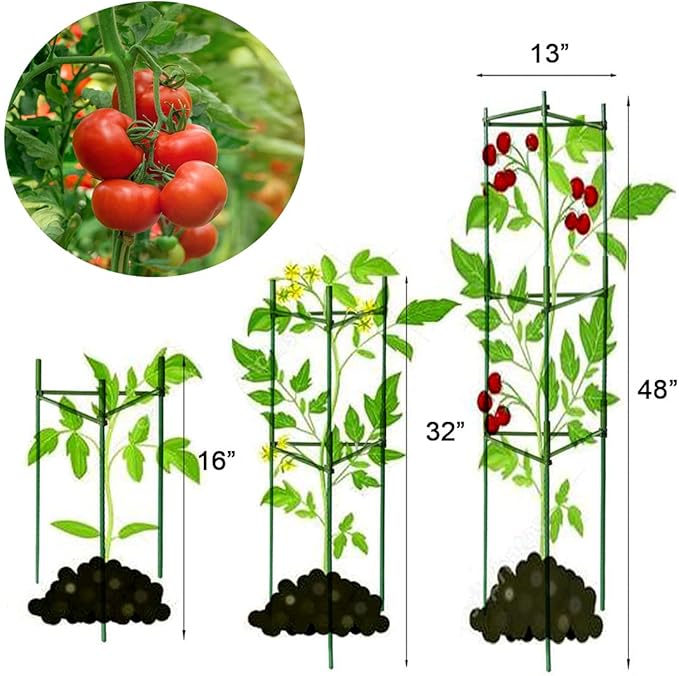 4 Pack Tomato Cage Plant Support Assembled -48inch Vegetable Trellis,Assembled Multi-Functional Garden Trellis Garden Trellis for Climbing Vegetables,Climbing Plants, Vegetables, Flowers, Fruits, Vine