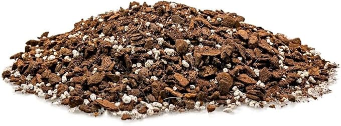 GARDENERA Albo Variegata Soil Mix - Promotes Strong Root Growth and Retains Moisture - 5 Quart