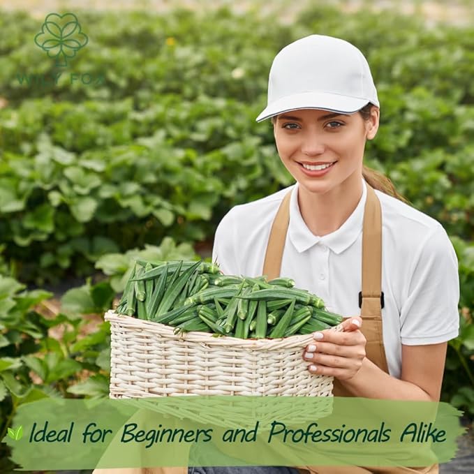 Premium Okra Seeds - 100 Heirloom Seeds for Planting, Non-GMO, High Yield, Fast Growing, Heat-Resistant Vegetable Seeds for Home Garden & Outdoor Planting - Fresh, Crisp & Flavorful Okra