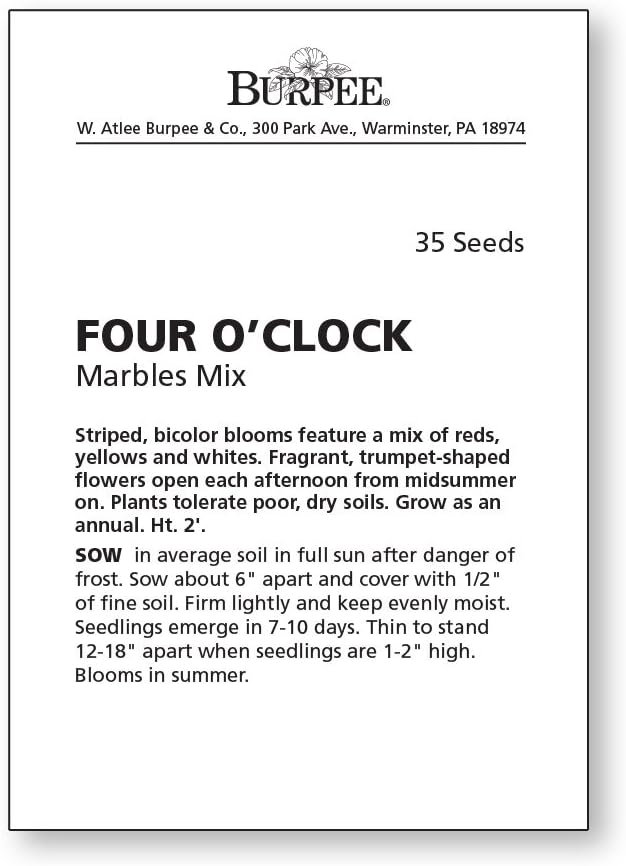 Burpee Marbles Mix Four O'Clock Seeds 35 seeds
