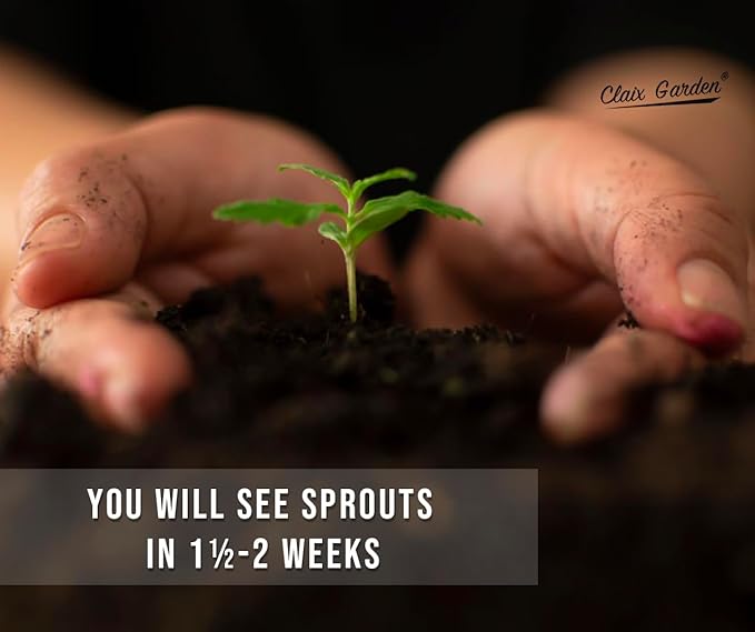 Moss Rose - Portulaca Grandiflora - 5,000+ Seeds - Mixed Colors, Heirloom, Non-GMO, Excellent for Pollinators, Annual - Vibrant Flowers with Heat & Drought Tolerance for Any Home Garden