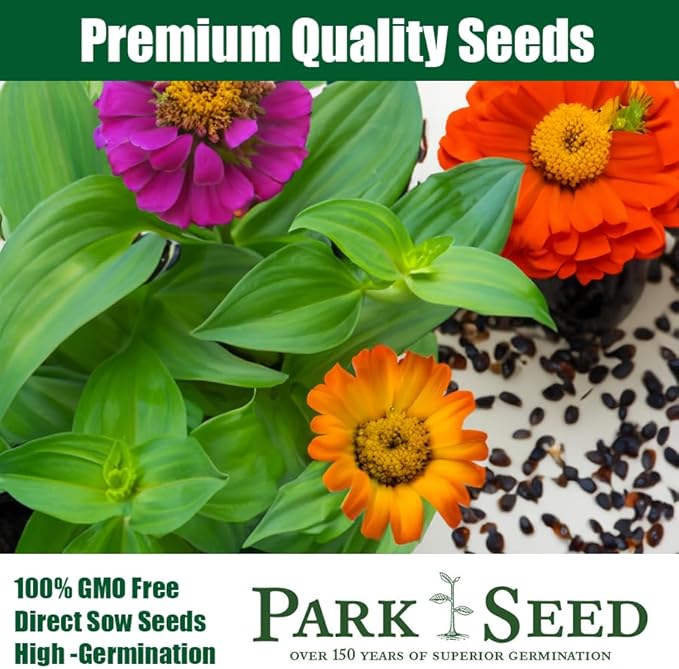 Park Seed Zahara Sunburst Zinnia Seeds - Pack of 100 Seeds, Fleuroselect Award Winner, 2½-Inch Blooms, Heat, Drought, and Disease-Resistant, Non-GMO, Perfect for Hot, Dry Beds and Containers