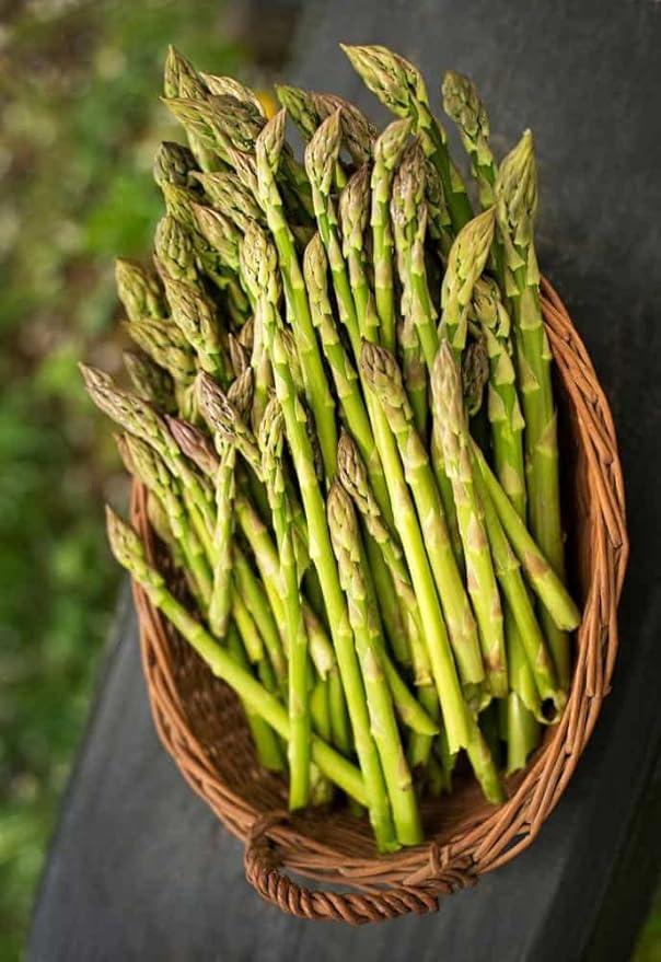 CEMEHA SEEDS - Seeds Green Asparagus Sparrow Grass Non GMO Vegetable for Planting