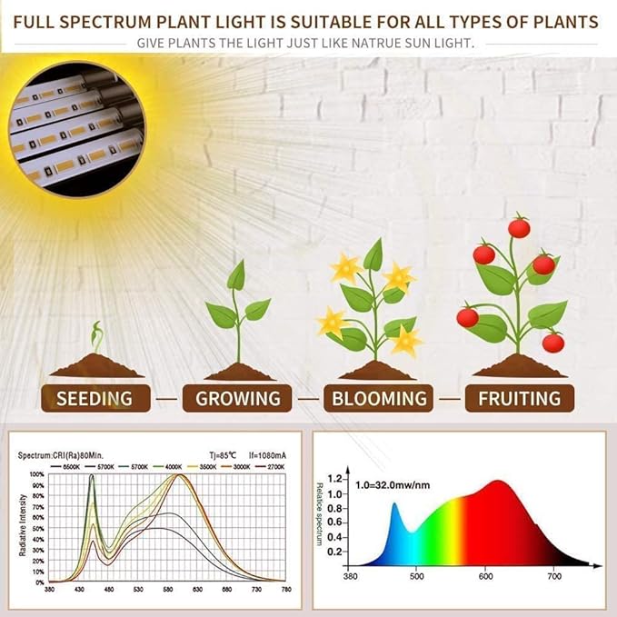 bseah Grow Light Plant Light Indoor Plants, Full Spectrum Clip Plant Growing Lamp, 10-Level Dimmable, Auto ON & Off Timer (2 Pack)