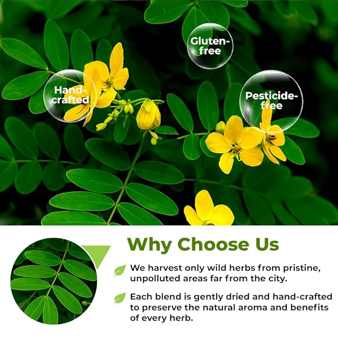 4 oz. Senna Leaf Senna Leaves Tea Bags Herbal Tea (Senna Alexandrina) - 113g Bags Hoja De Sen Hojas De Sen Para Te