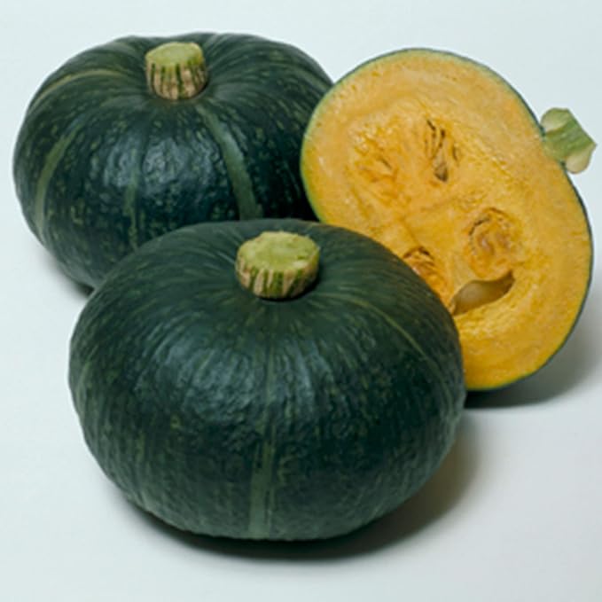 Squash Seeds - Winter - Delica - Hybrid - 2 g Packet ~15 Seeds - Non-GMO, F1 Hybrid - Vegetable Garden