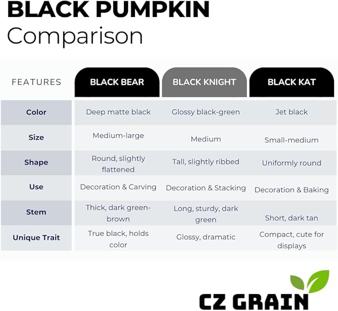 Pumpkin Seeds for Planting (10 Seeds) - Exotic Black Kat Pumpkin – Deep Black, Smooth-Skinned Pumpkins – Rare Decorative Variety for Fall Gardens, Halloween Displays & Autumn Décor