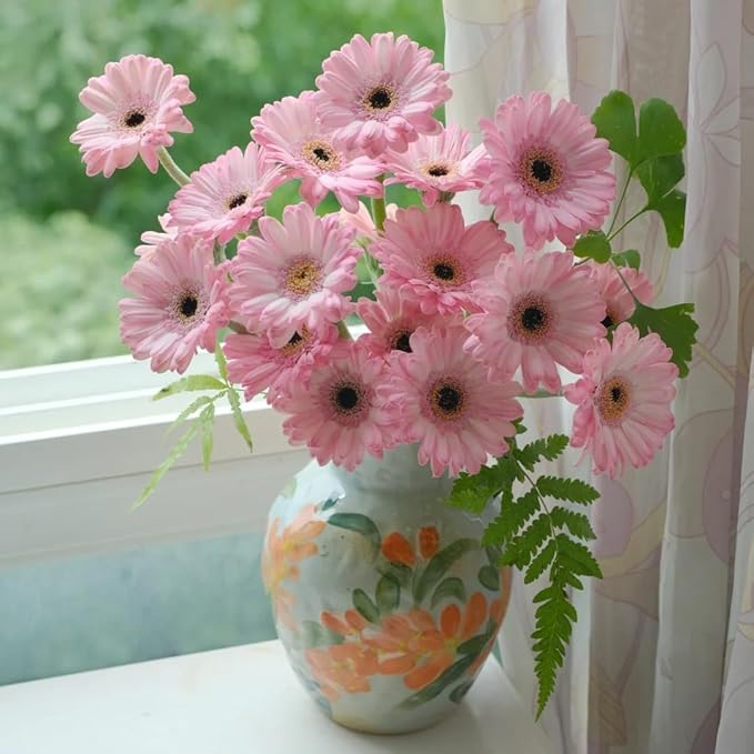 Mixrug Gerbera Daisy Seeds for Planting, 500+pcs Perennial Rare Gerbera Daisy Flower Seeds Plants, Non-GMO Heirloom Landscape Hardy Home Garden Blooms Flowers for Outdoors
