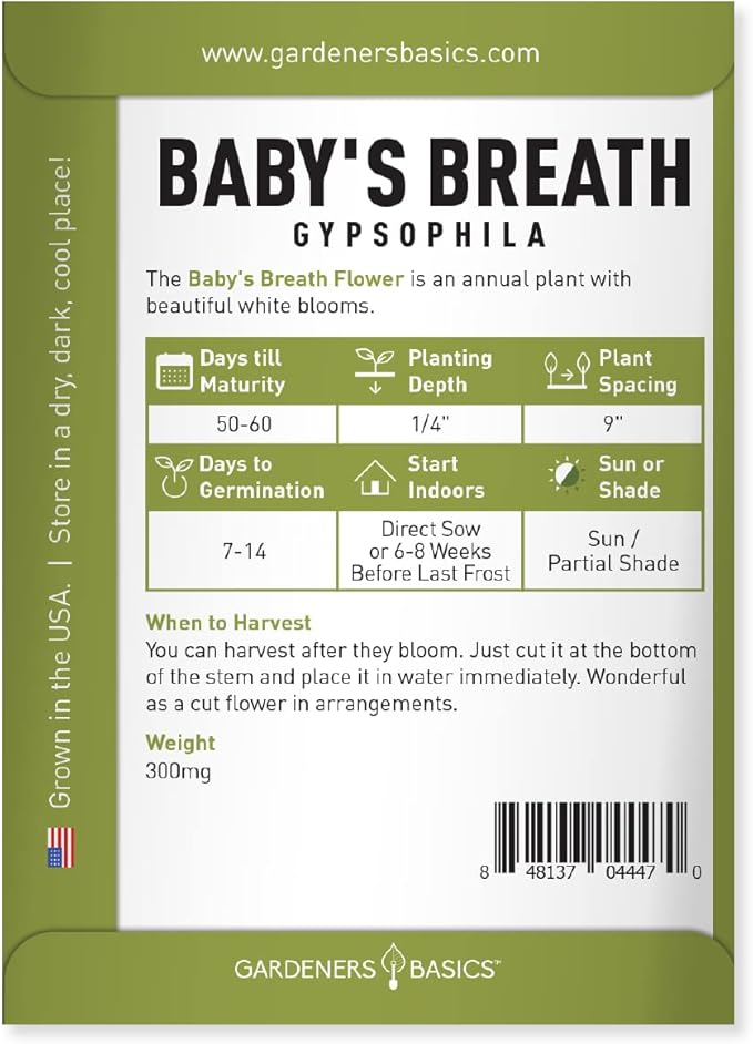 Gardeners Basics, Baby's Breath Seeds for Planting Gpsophila - Beautiful Annual Cut Flower for Flower Arrangements and Beautiful in Flower Beds in Summer Gardens Too