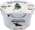 BUZZY Seeds Grow Your Own Christmas Tree Kit, Spruce Seed Starter Mini Basin in White with Coconut Husk Growing Medium, and Easy Instructions. DIY Gardening Gift, Stocking Stuffers for Nature Lovers