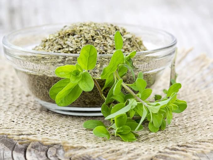 CEMEHA SEEDS - Seeds Sweet Marjoram Non GMO Herbs for Planting 1000 Seeds