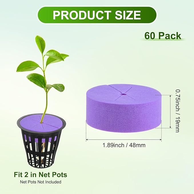 60-Pack Cloning Collars Inserts, Hydroponics Sponge Systems Cloning DIY Foam Cloner Inserts Fits 2" Net Pots for Hydroponic/DIY Cloner/Clone Machines/Plant Germination [Purple]