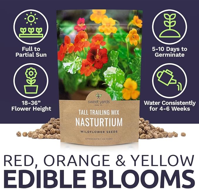 Nasturtium Seeds – Mixed Colors – Bulk Quarter Pound Bag – Over 900 Open Pollinated Non-GMO Flower Seeds – Tropaeolum majus