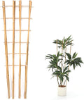 Bamboo Trellis,4.8Ft,3Pack,Climbing PlantsTrellis, Fan-Shaped Trellis,for Outdoor and Indoor Potted Climbing Plants,Vegetables, Cucumber, Tomato, Hoya