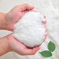 Water Storing Crystals for Plants Water Gel Helps Prevent Over and Underwatering in Outdoor and Indoor Plants Small Water Storing Polymer Crystals Keeps The Soil Moist (5 Pound)