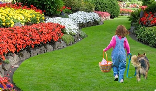 Espoma Turf-Tone All Season Organic Lawn Food with Iron & Exclusive Bio-Tone Formula - Slow Release Long Lasting Feeding for All Lawns - Granular Lawn Fertilizer for All Seasons - Made In USA, 14 lbs.