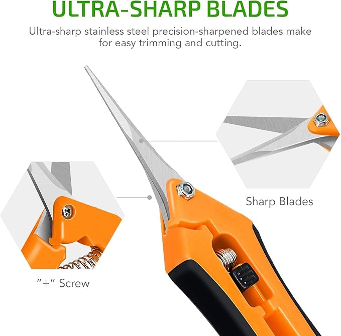 iPower 6.5 Inch Gardening Scissors Hand Pruner Pruning Shear with Straight Stainless Steel Blades, Orange, 1-Pack