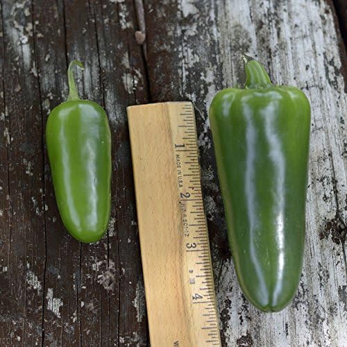 Park Seed Park's Whopper Jalapeño Pepper Seeds – Large, Spicy 2.6 oz Peppers, 2100–2500 Scovilles, High-Yielding and Disease Resistant, Great for Salsas, Pickling, and Grilling – Pack of 15 Seeds