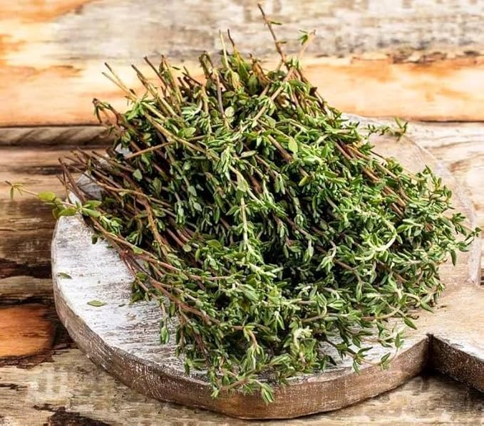 SeedsUP - 500+ Seeds Thyme - Herb Green
