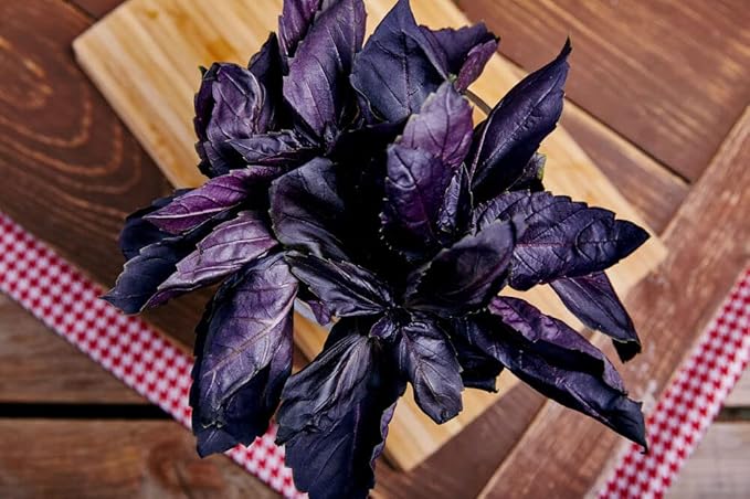 SeedsUP - 300+ Seeds Purple Basil Indoor Ornamental - Herb