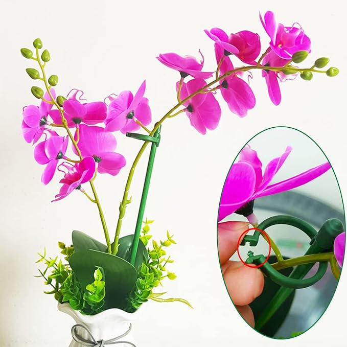 Belit 8 Pack Small Plant Support Plant Stakes, Adjustable Garden Single Stem Support Stake, Planter Support Ring for Orchid, Rose, Peony, Peppers and More, 16 inch