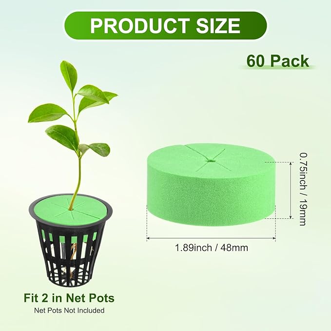 60-Pack Cloning Collars Inserts, Hydroponics Sponge Systems Cloning DIY Foam Cloner Inserts Fits 2" Net Pots for Hydroponic/DIY Cloner/Clone Machines/Plant Germination [Green]