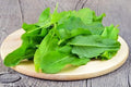 Garden Sorrel 2000+ Seeds for Planting Non-GMO