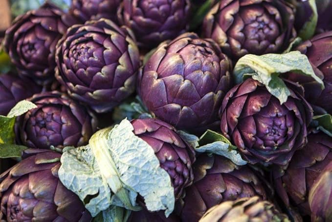 Seeds Purple of Romagna Globe Artichoke Vegetable for Planting Non GMO