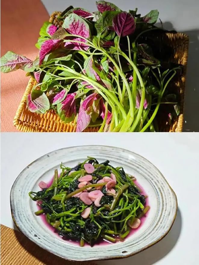 500PCS Red Green Amaranth Spinach Seeds Amaranthus Tricolor Asian Vegetable Seeds
