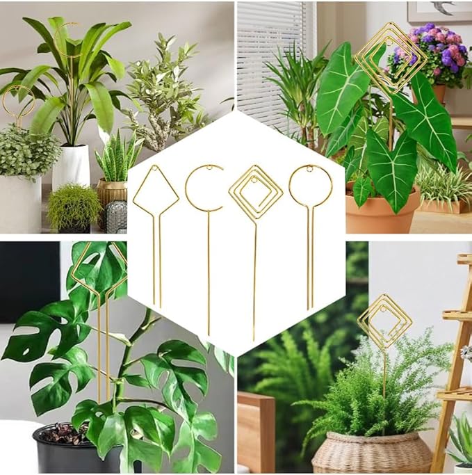 Plant Trellis Indoor - 4 Pack Small Hoop Trellis Mini for Climbing Plants Indoor, 15.7 Inch Indoor Plant Trellis with Different Patterns, Vine Plant Support for Flower Pothos (Gold)
