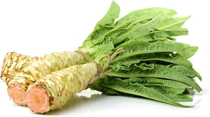 Seeds Vegetable Asparagus Lettuce Leaf Heirloom for Salads - 1000 Seeds
